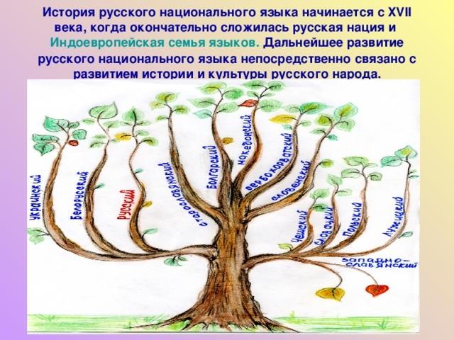 Mы с языком