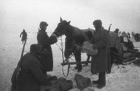 ��������� ������ �� ������ �� ���� �������