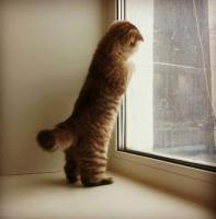 ������ � ����