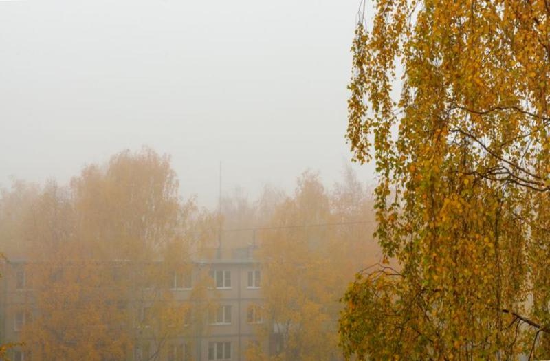 Осень, утро, туман